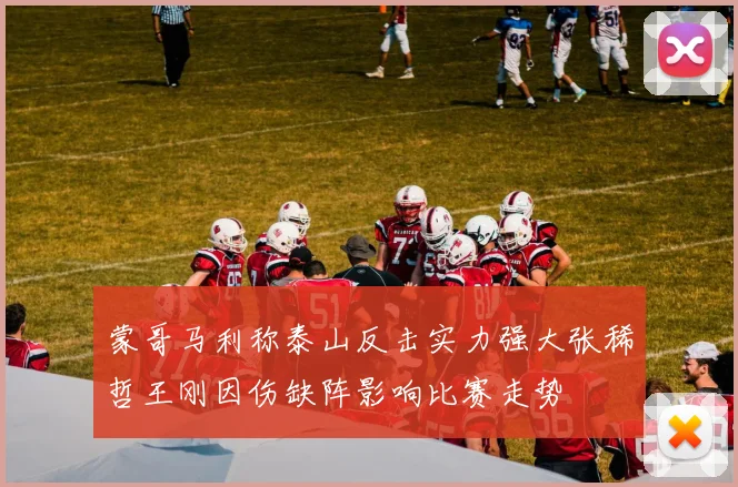 蒙哥马利称泰山反击实力强大张稀哲王刚因伤缺阵影响比赛走势