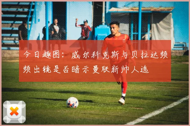 今日趣图：威尔科克斯与贝拉达频频出镜是否暗示曼联新帅人选
